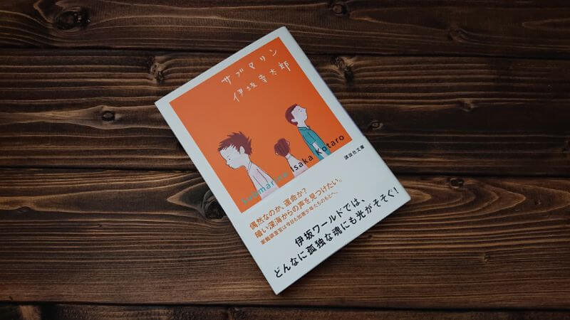 ブツ撮り 撮影用の背景ボード 木製 を自作するよ 材料はケーヨーデイツーのspf 1 4 材 Diy Rooms19